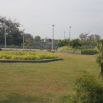 Professional Gardener