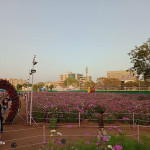 Professional Gardener