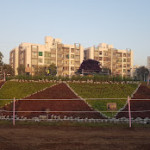 Professional Gardener