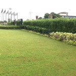 Professional Gardener