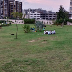 Professional Gardener