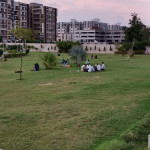 Professional Gardener