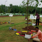 Professional Gardener