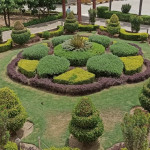 Professional Gardener