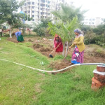 Professional Gardener