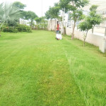 Professional Gardener