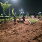 Professional Gardener