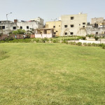 Professional Gardener