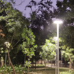 Professional Gardener