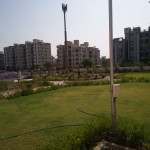 Professional Gardener