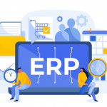Custom ERP software devlopment services