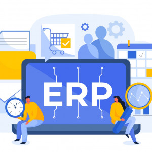 Custom ERP software devlopment services