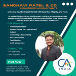 Charted accountants  (All types of similar services for the USA are also providing)