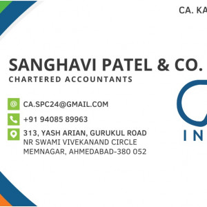 Charted accountants  (All types of similar services for the USA are also providing)