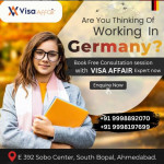 Visa consultant