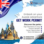 Visa consultant