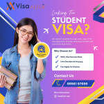 Visa consultant