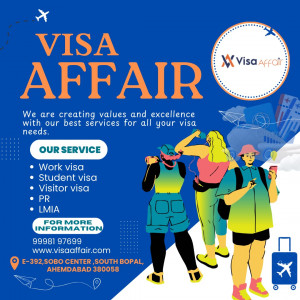 Visa consultant