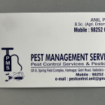 Pest control services