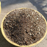 Perlite soil