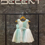 Apparel & fashion Agent