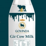Gir Cow Milk