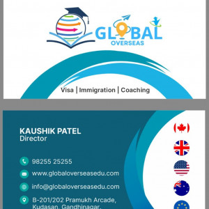 visa / Immigration / Coaching