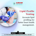 Clinical & Allergy testing laboratory