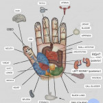 Accupressure & Therapy Center