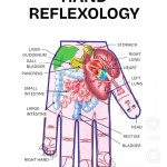 Accupressure & Therapy Center