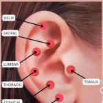 Accupressure & Therapy Center