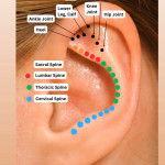Accupressure & Therapy Center