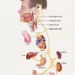 Accupressure & Therapy Center