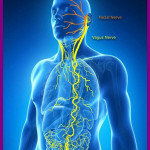 Accupressure & Therapy Center