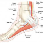 Accupressure & Therapy Center