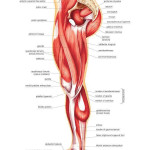 Accupressure & Therapy Center
