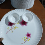 Catering Plastic Plates Manufacturers.