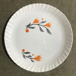 Catering Plastic Plates Manufacturers.