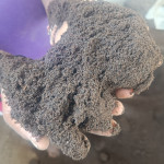 Premium vermicompost