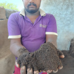 Premium vermicompost