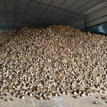 Mfg.of Biomass Briquettes ( white Coal)