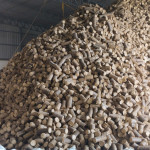 Mfg.of Biomass Briquettes ( white Coal)