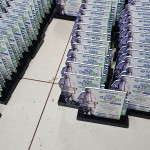 Hording Advertising Services