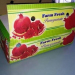 Printed  Packing box