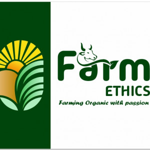 Organic Food ( pulse, cereals, millets, oil, flour etc. )