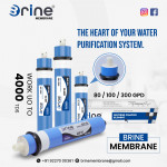 Water filtration Membranes