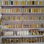 All Coding Dori Available