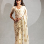 Stitches Blouse & Saree