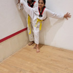 Taekwondo Academy