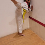 Taekwondo Academy